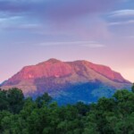 papillon-hill Top resorts in Idukki